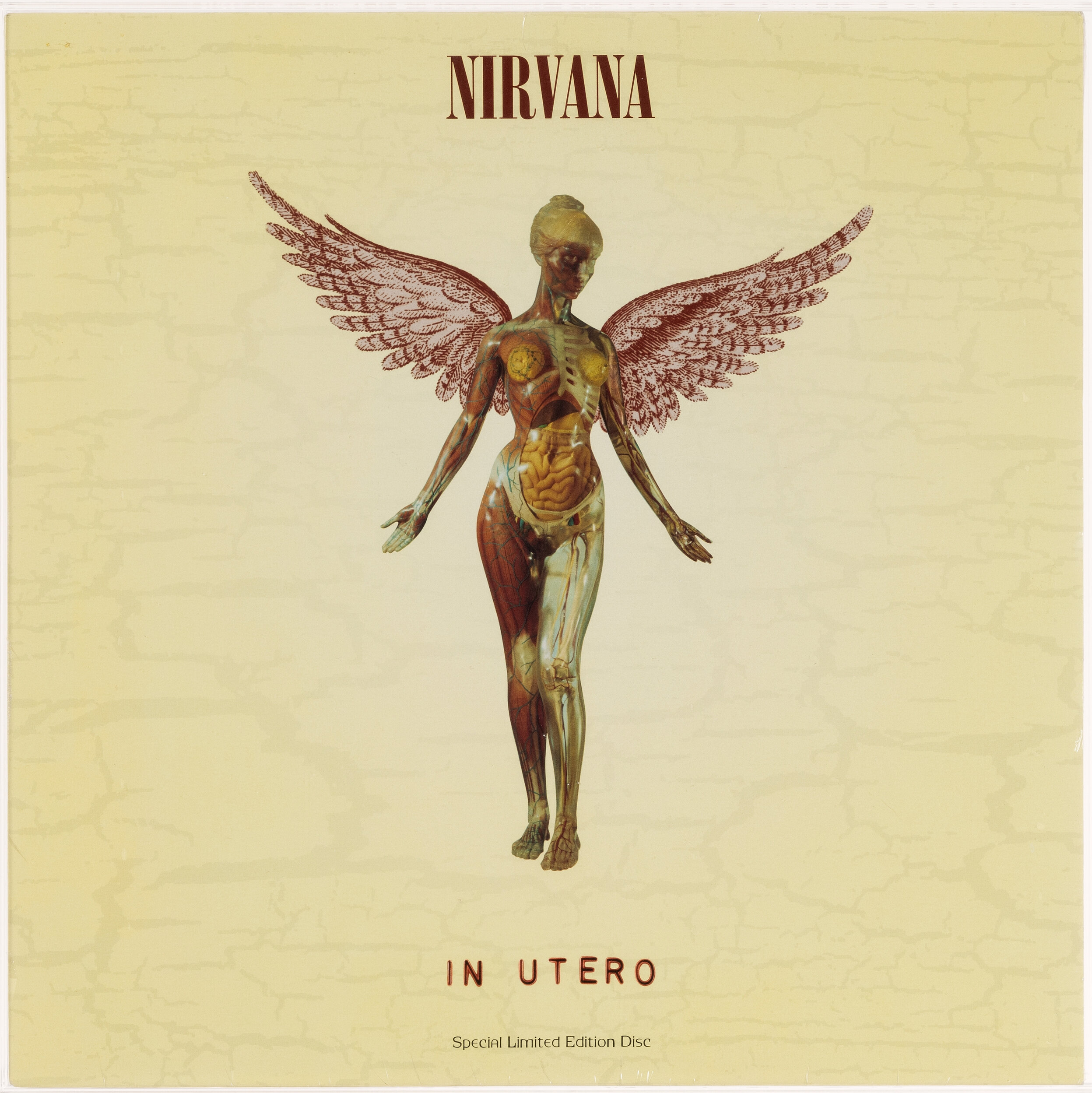 Nirvana In Utero Vinyl Record Album